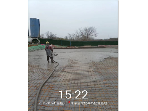 南京孟北奶牛场奶源基地